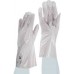 Chemical Gloves(Thin)