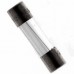 Fuse GMA-1-R 1A(250V) bussmann 100pcs/BOX